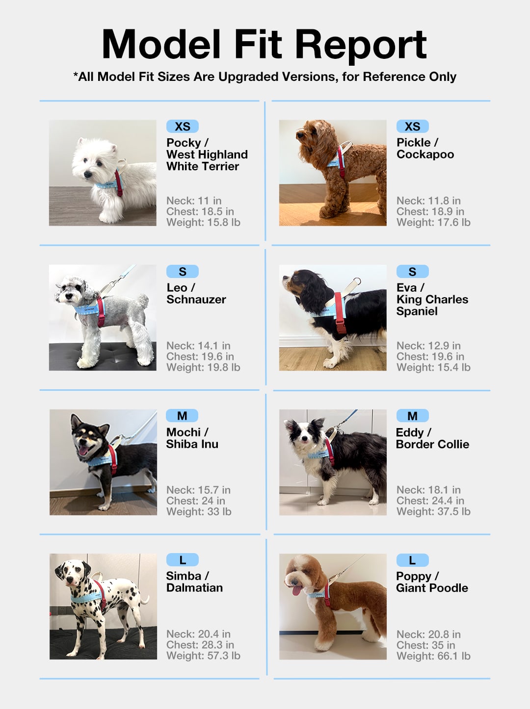 Mist and Merlot Harness & Leash Set