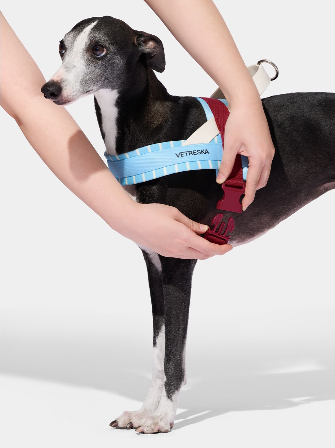 Mist and Merlot Harness & Leash Set