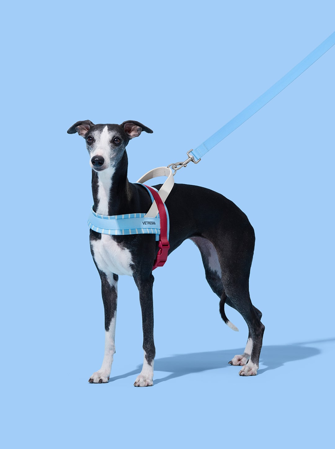 Mist and Merlot Harness & Leash Set