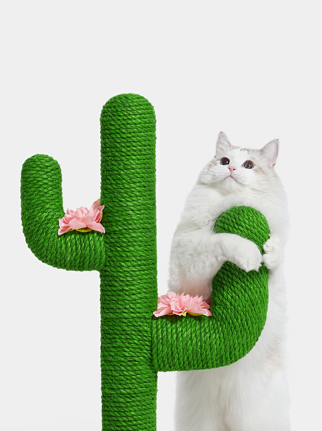 Oasis Cactus Cat Tree 31”