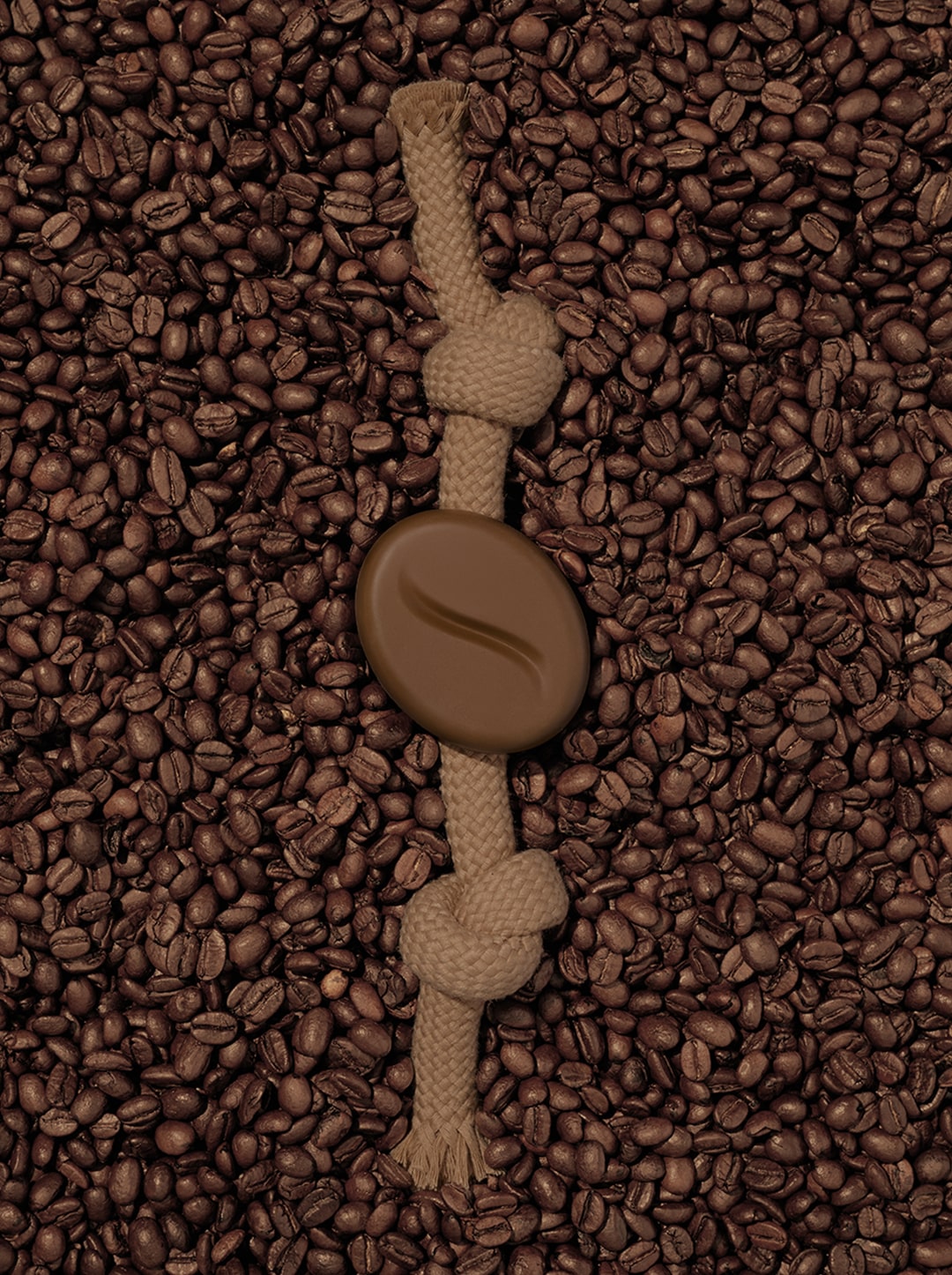 Playful Charm Knot Rope Toy (Coffee)