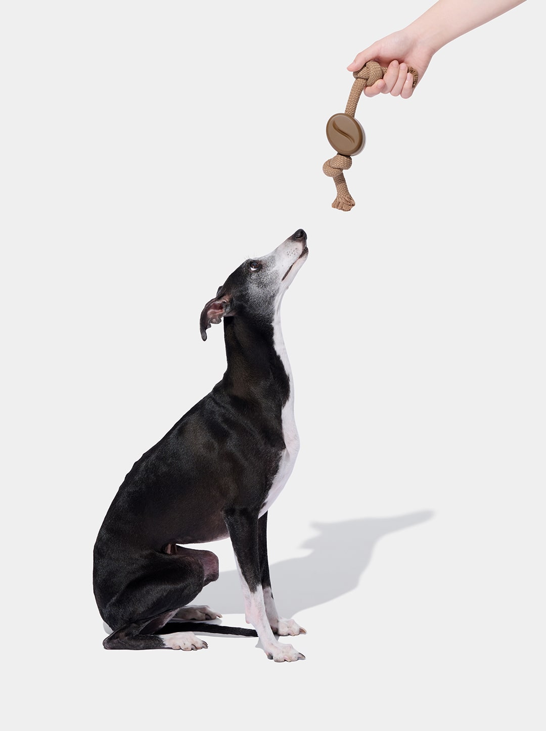 Playful Charm Knot Rope Toy (Coffee)