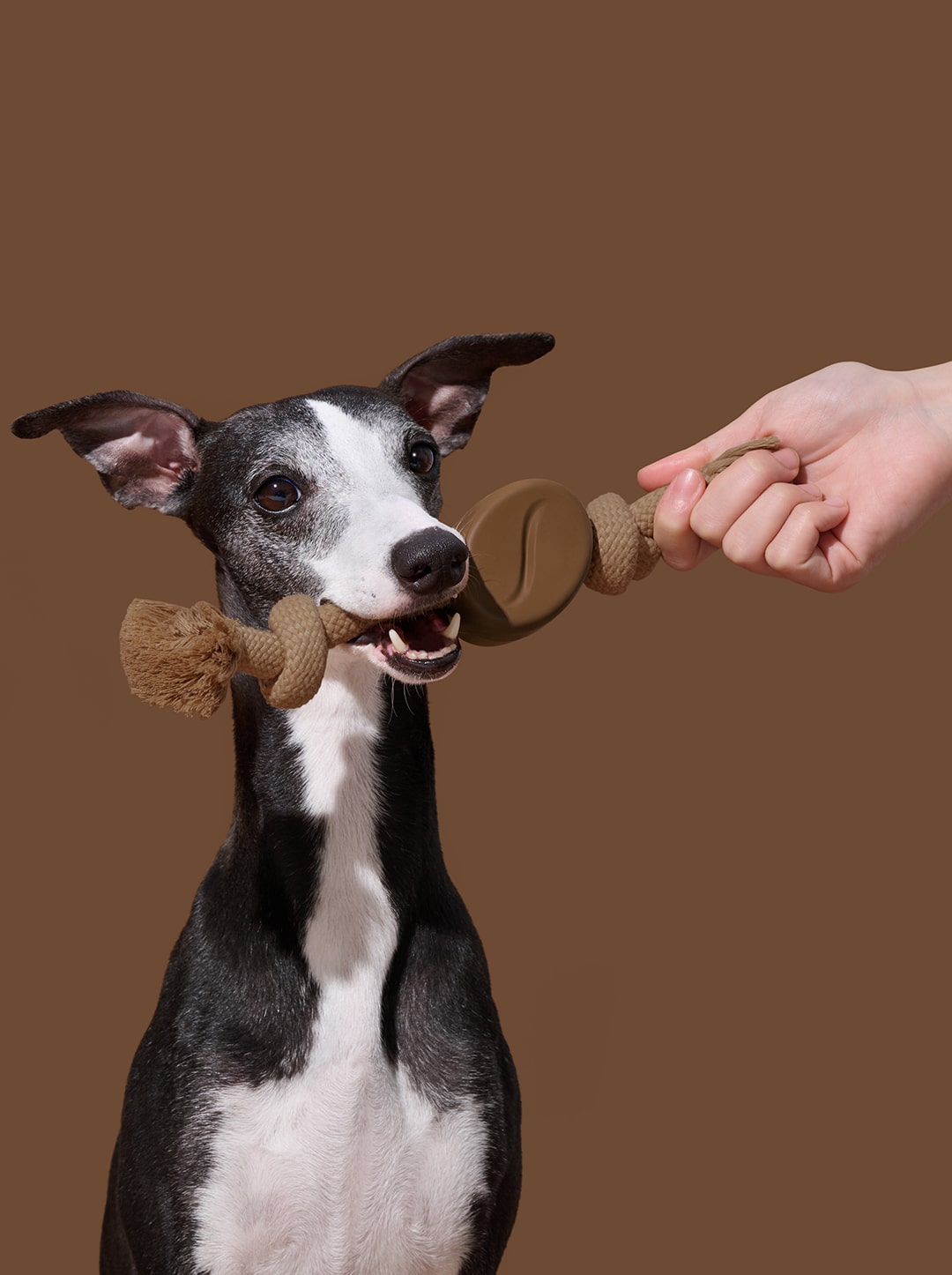 Playful Charm Knot Rope Toy (Coffee)