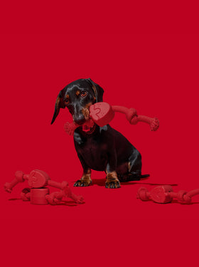 Playful Charm Knot Rope Toy