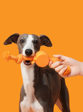 Playful Charm Knot Rope Toy