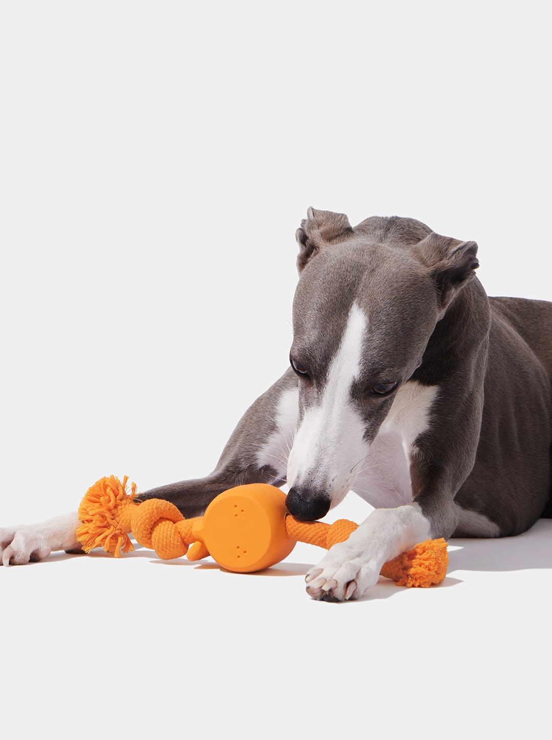 Playful Charm Knot Rope Toy