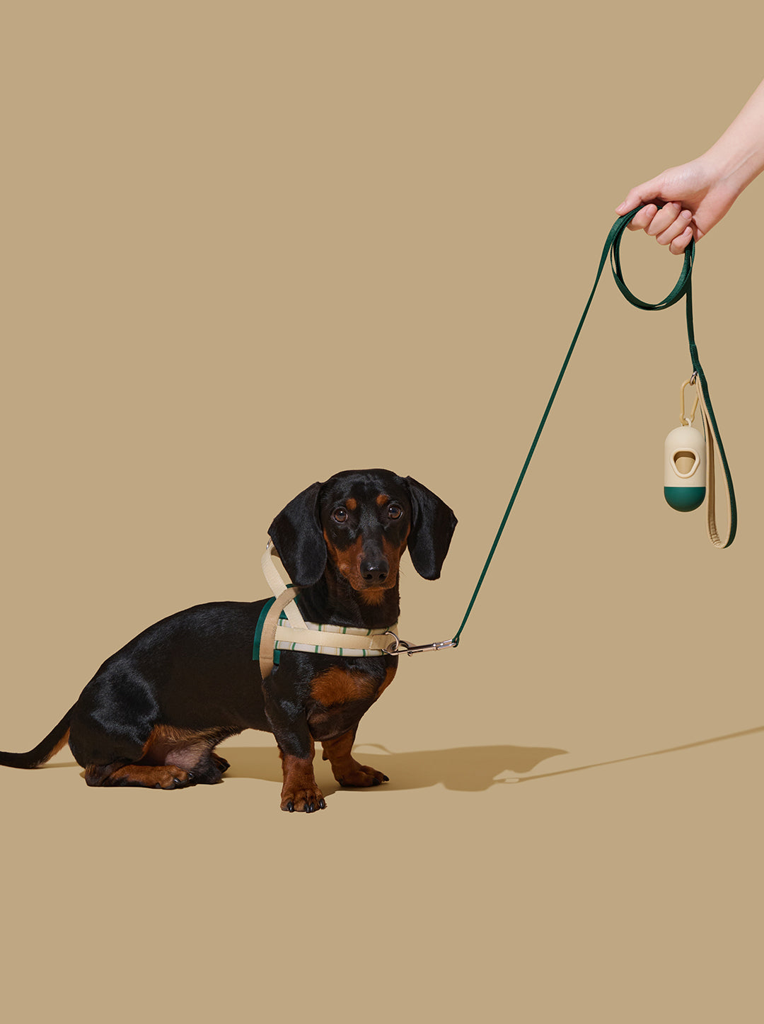 Santal Forest Pet Walk Kit