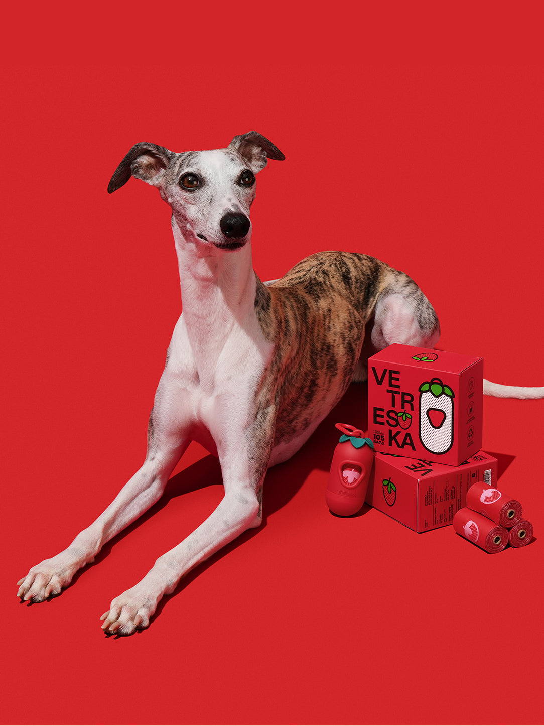 VETRESKA Strawberry Pet Poop Bags & Dispenser Set