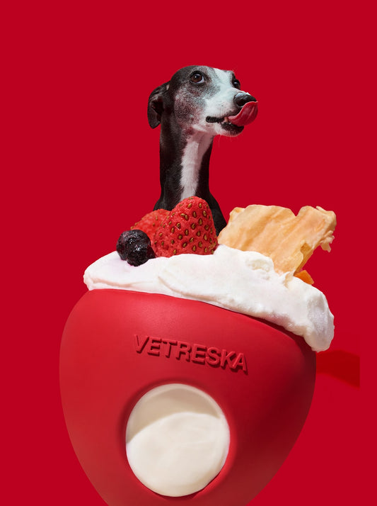 Strawberry Pet Treat Dispensing Toy