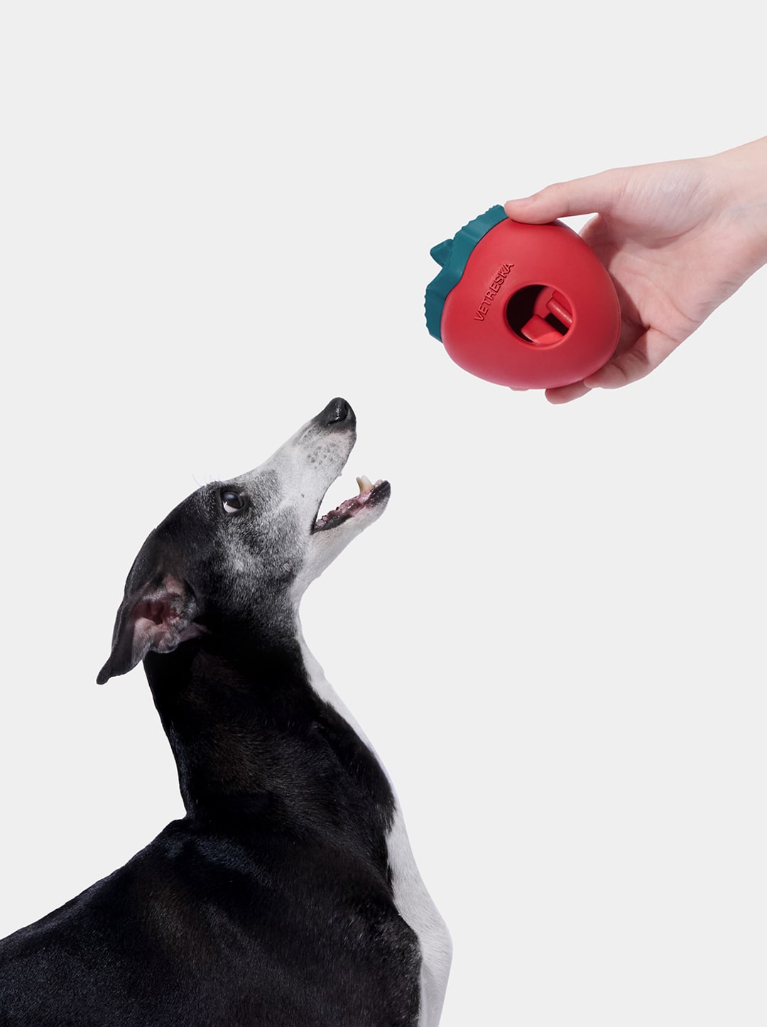 Strawberry Pet Treat Dispensing Toy