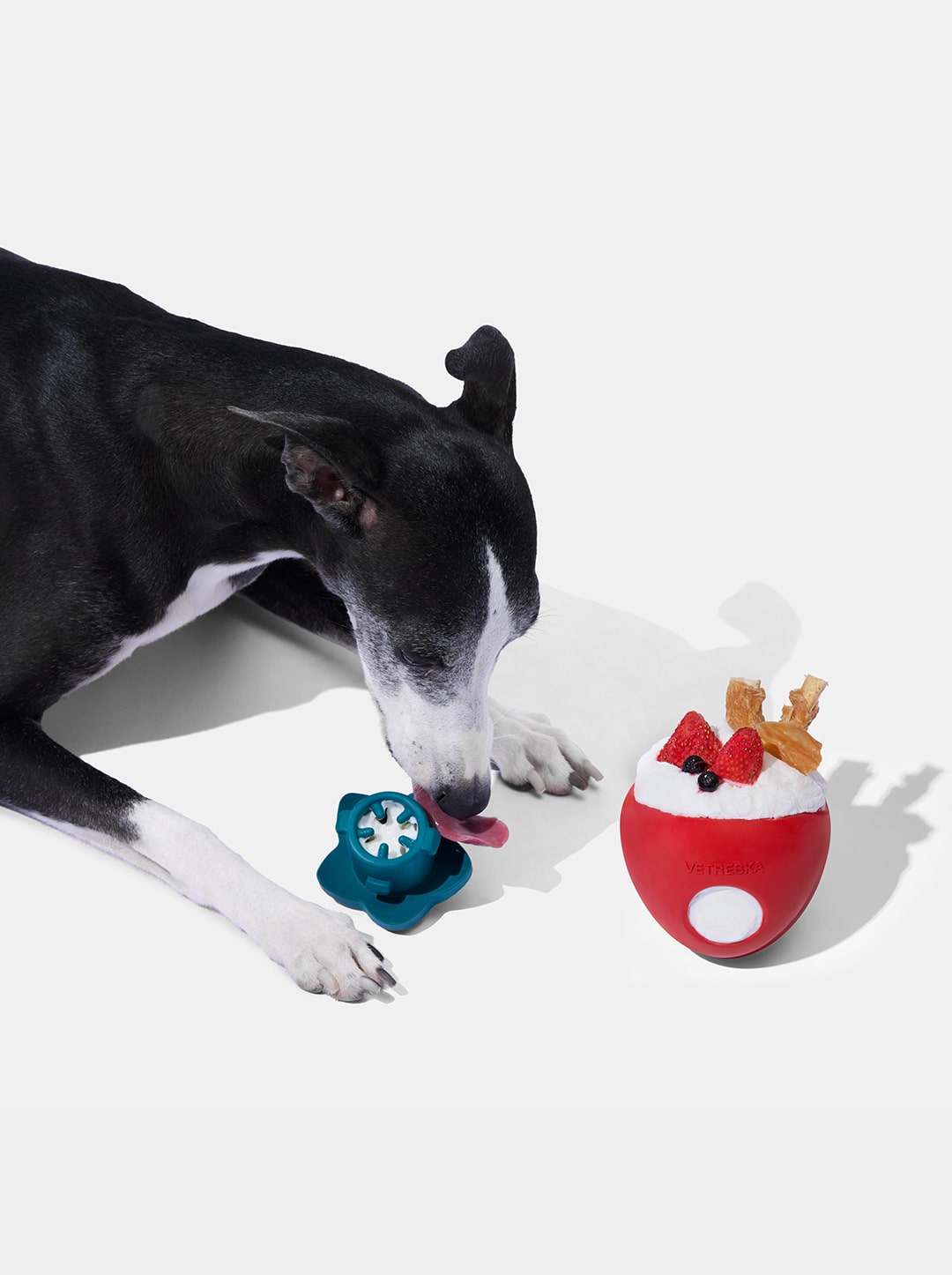 Strawberry Pet Treat Dispensing Toy