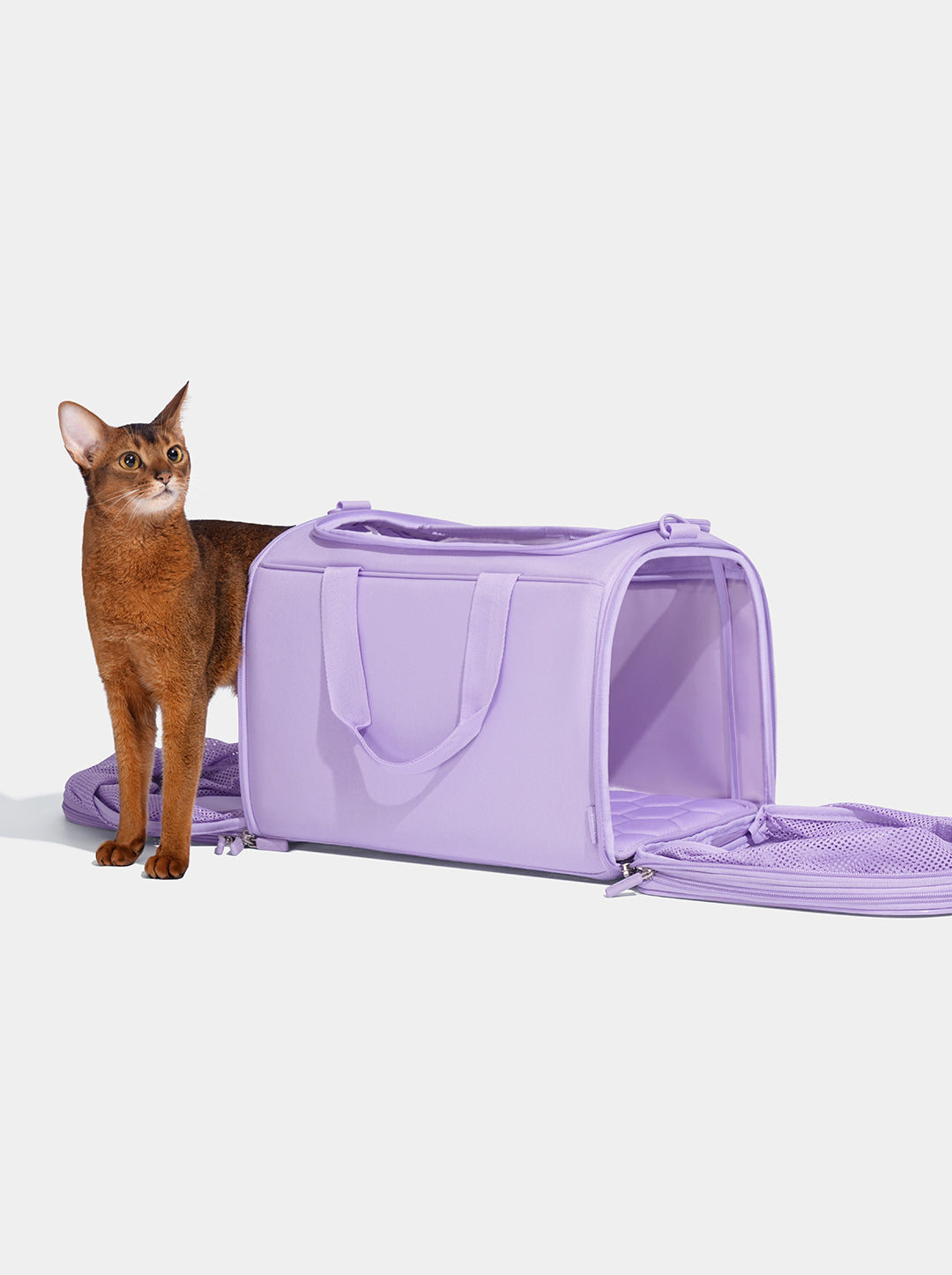 VETRESKA Violet Pet Carrier