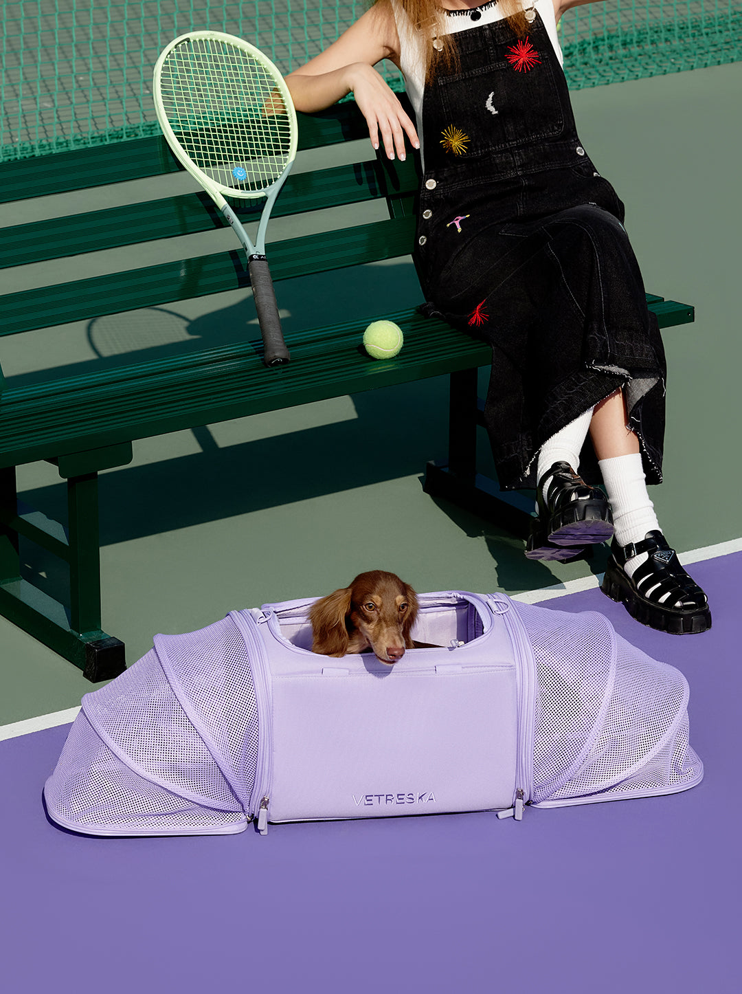 VETRESKA Violet Pet Carrier