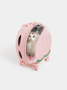 Bubble Pet Carrier