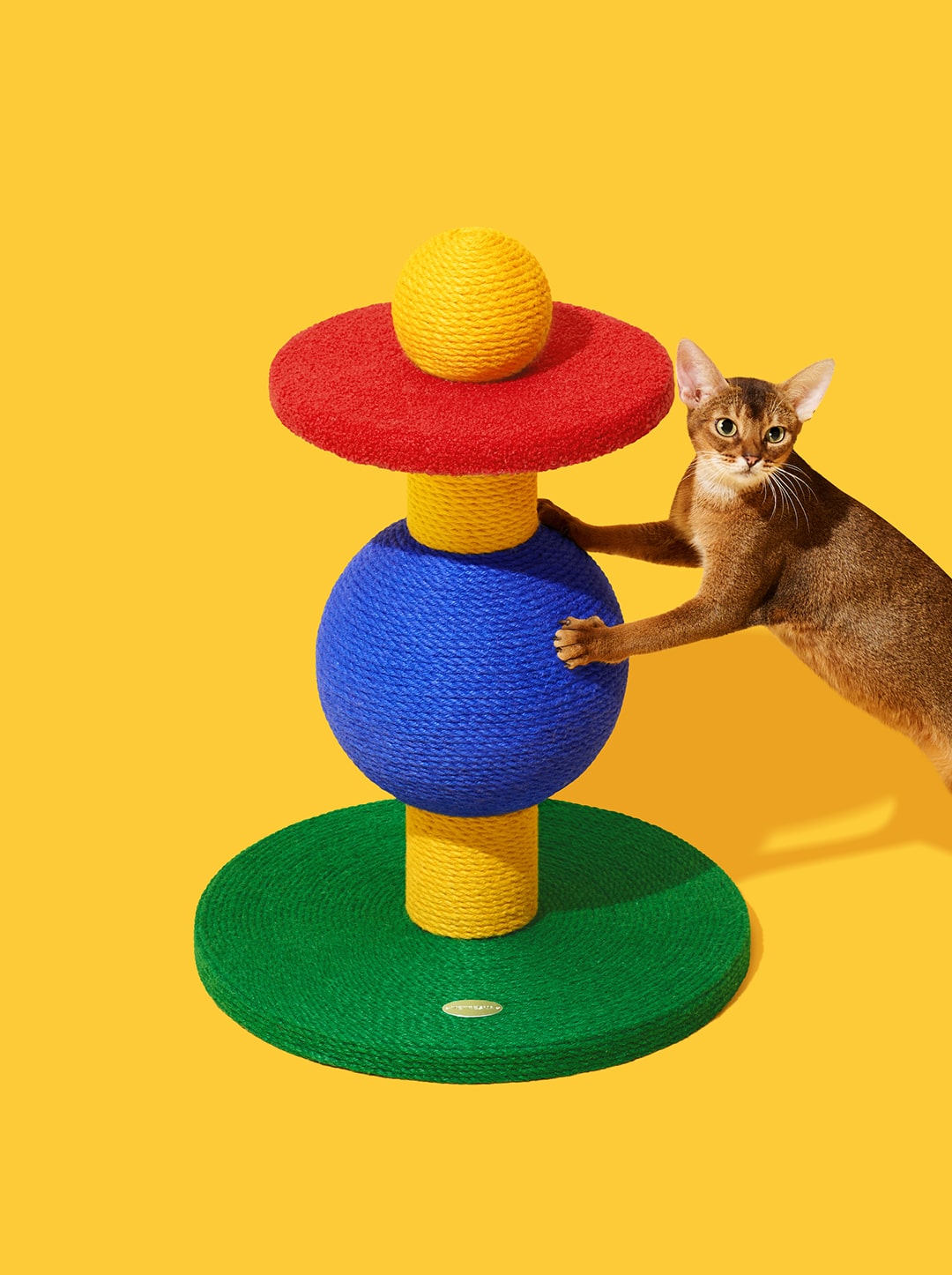 Chroma Cat Scratcher