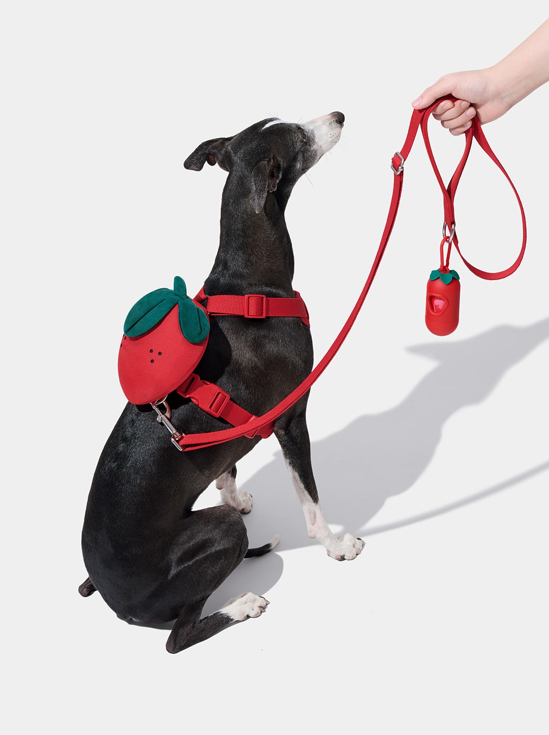 VETRESKA Strawberry Pet Backpack, Harness & Leash Set