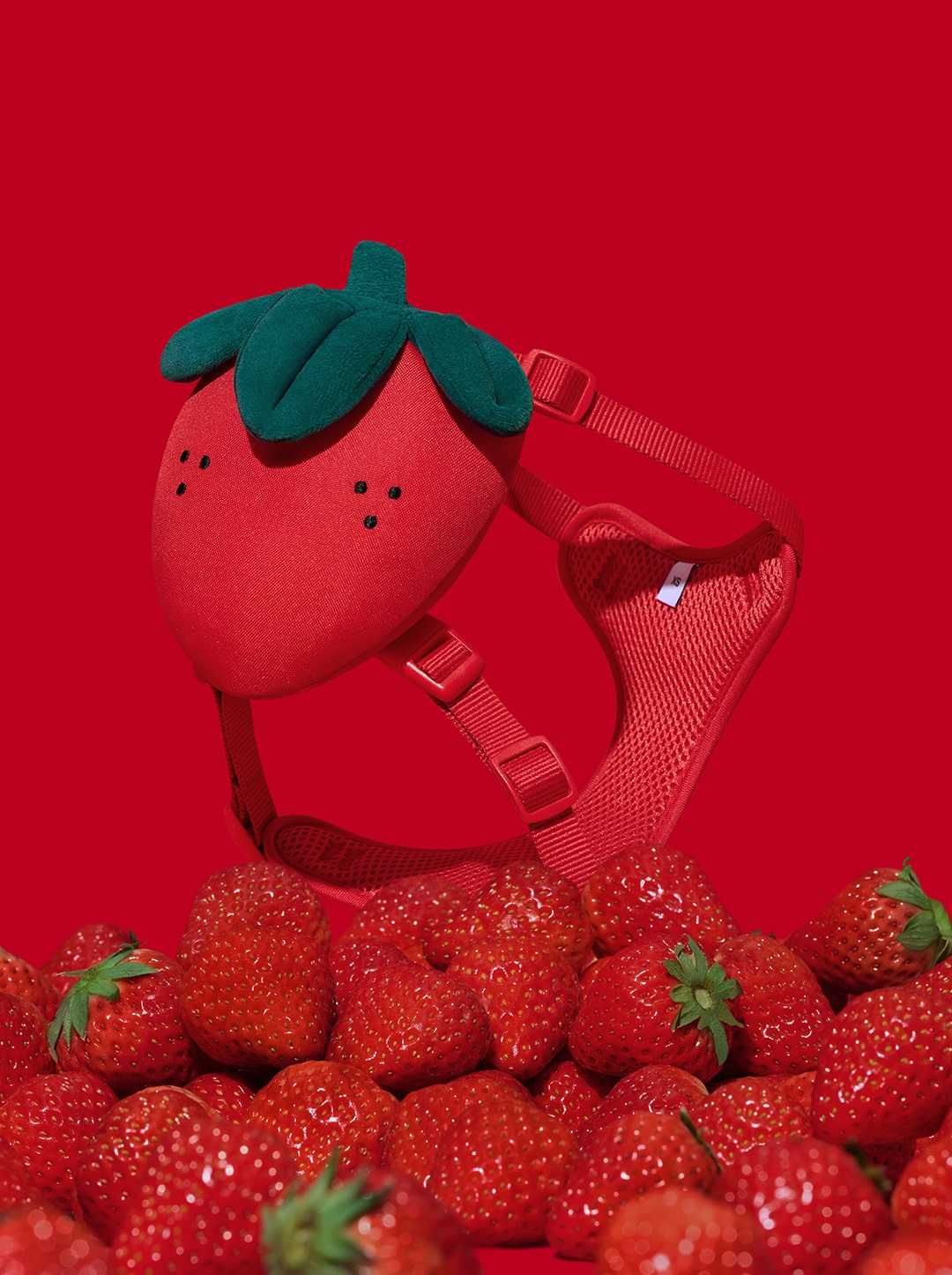 VETRESKA Strawberry Pet Backpack, Harness & Leash Set