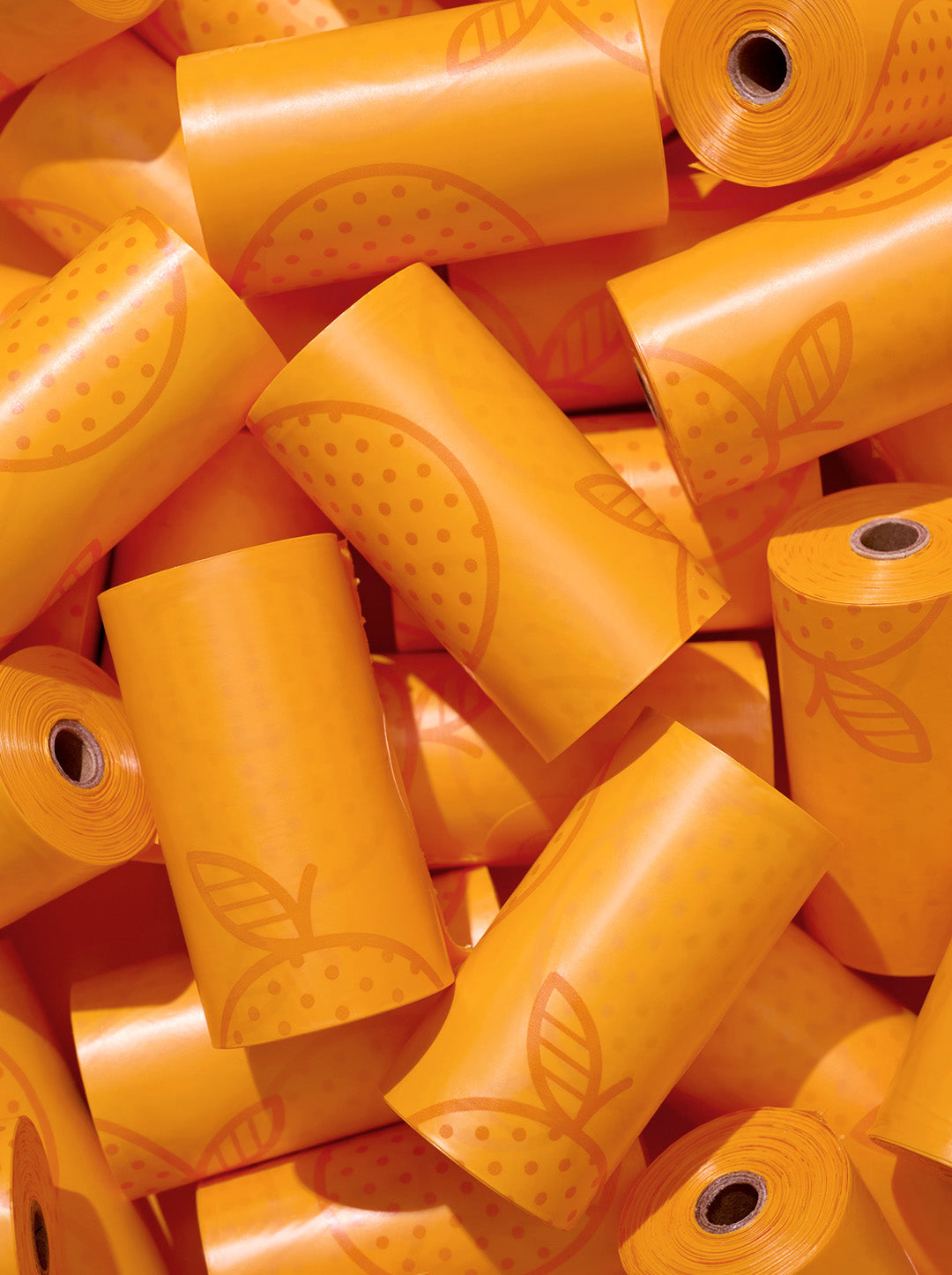 VETRESKA Tangerine Pet Poop Bags & Dispenser