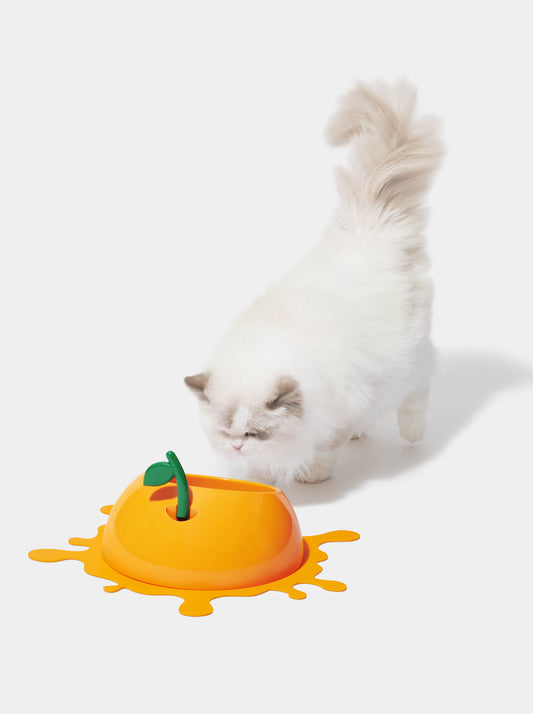 Juicy Tangerine Pet Bowl, Spoon & Mat Set