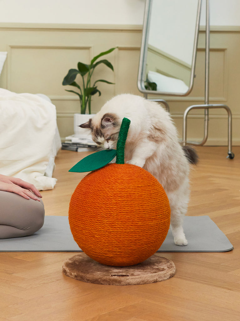 Vetreska - Tangerine Cat Scratching Ball