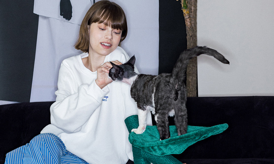 Why Every Cat Needs a Cat Tree (And How It Transforms Their Well-Being)