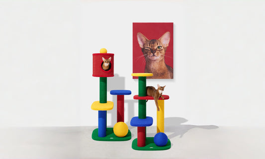 The Rise of Aesthetic Cat Trees: When Cat Furniture Becomes Part of Home Design