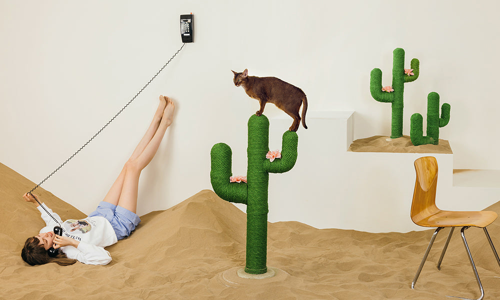 Design Spotlight: Oasis Cactus Cat Tree