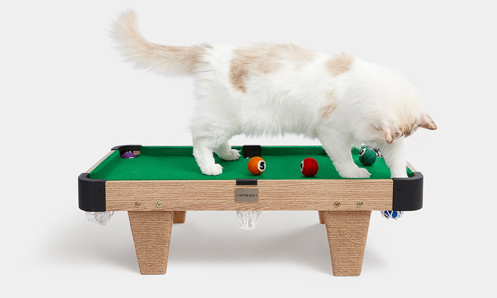 Upgrading Playtime for Your Fur Baby