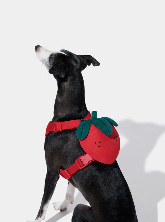 Strawberry Pet Backpack, Harness & Leash Set