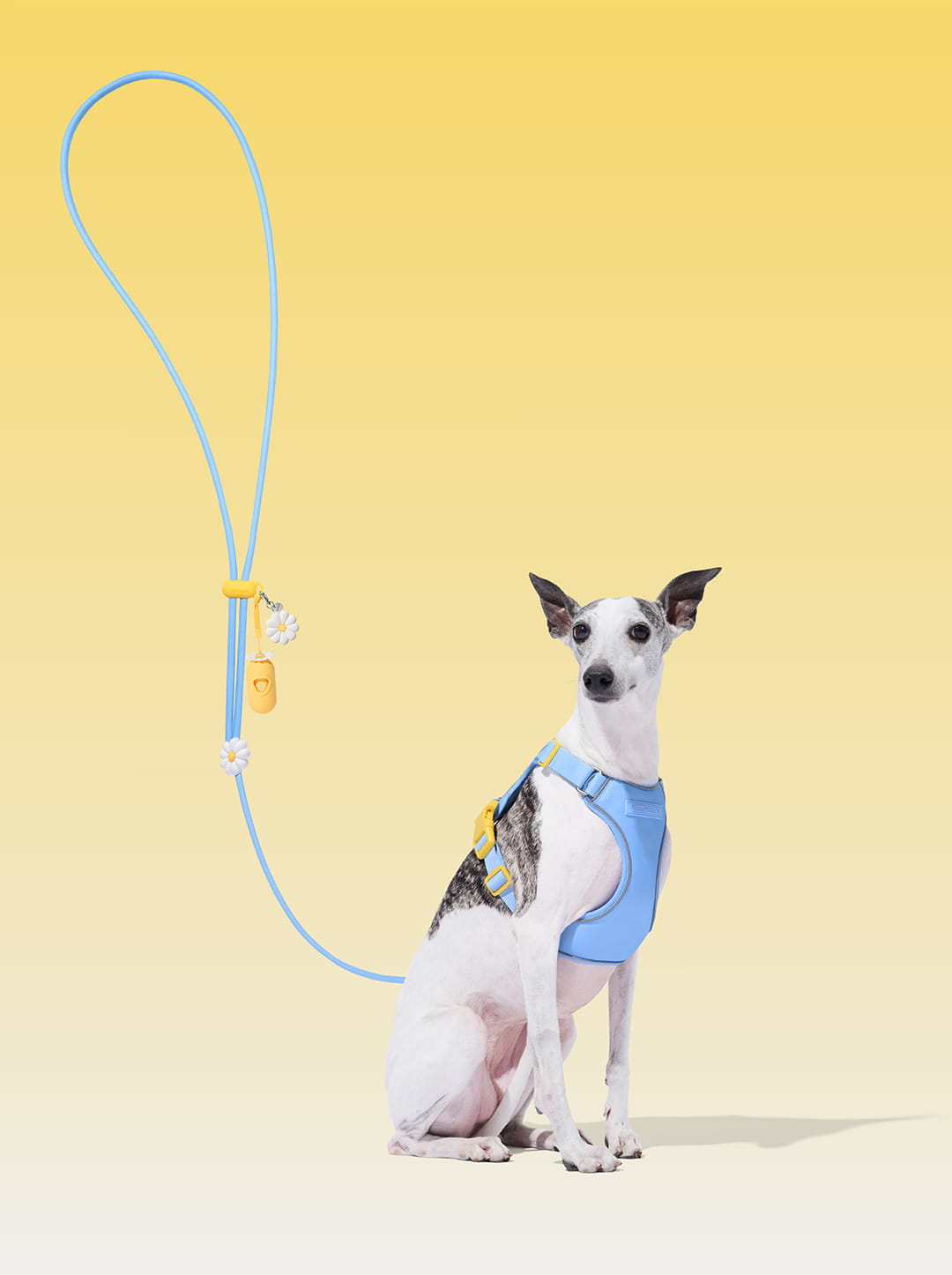 Connect Premium Classic Rope Leash Walk Kit - Daisy
