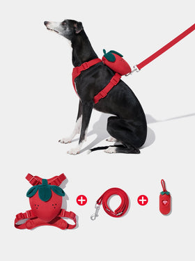 Strawberry Pet Walk Kit (Harness, Backpack, Leash 3 in 1 & Poop Bag Dispenser)