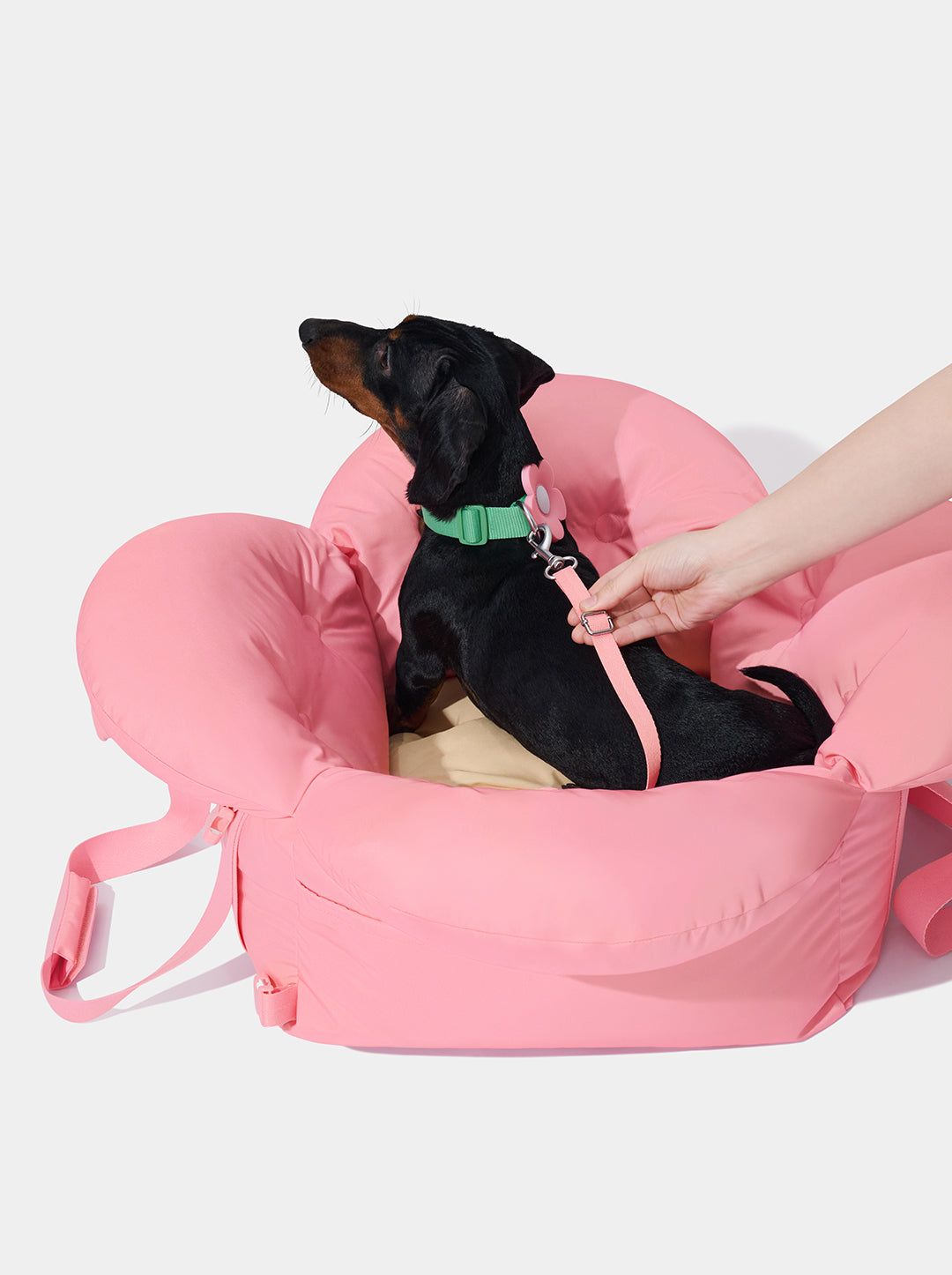 Flora Car Seat Pet Carrier