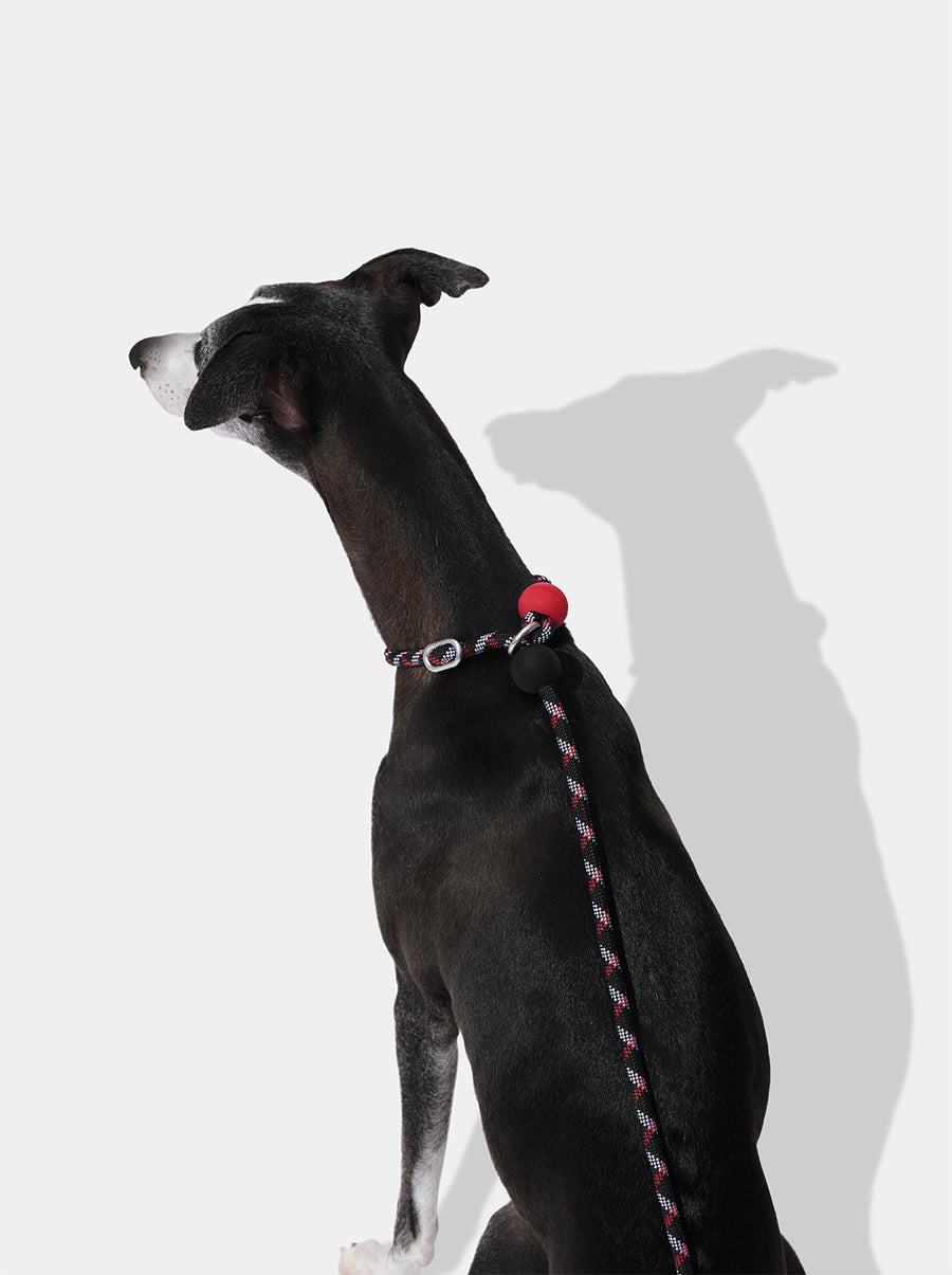 Connect Lite Walk Kit - Circuit