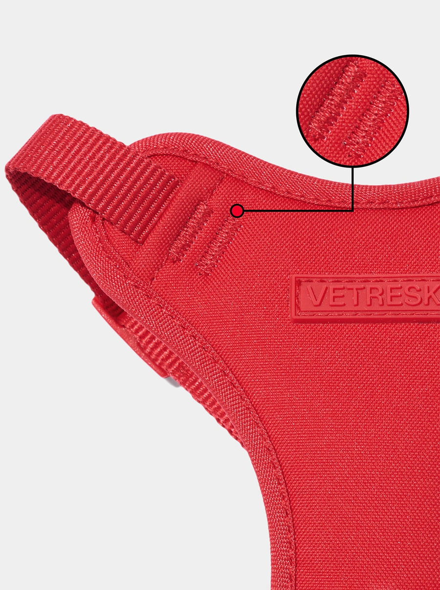 Strawberry Pet Backpack, Harness & Leash Set