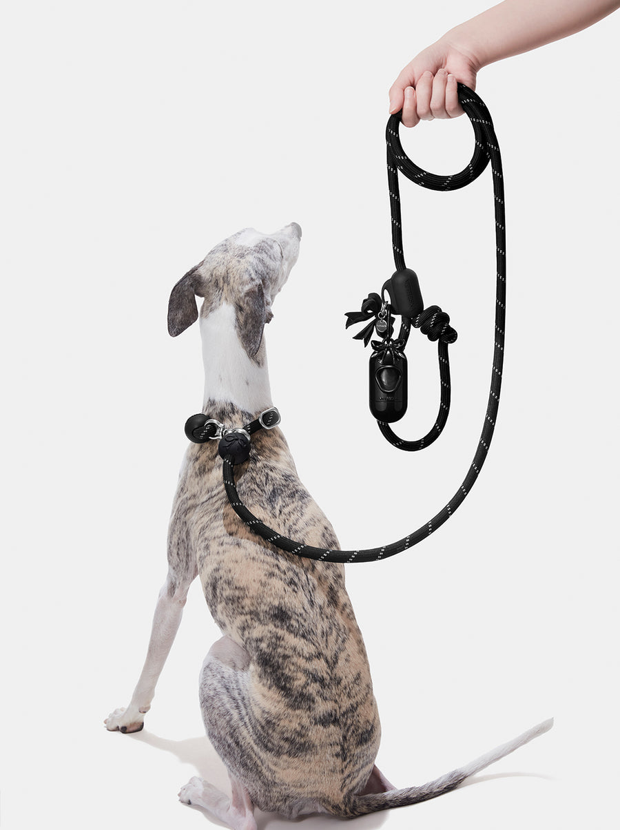 Connect Hands-Free Rope Leash – Bow de Noir