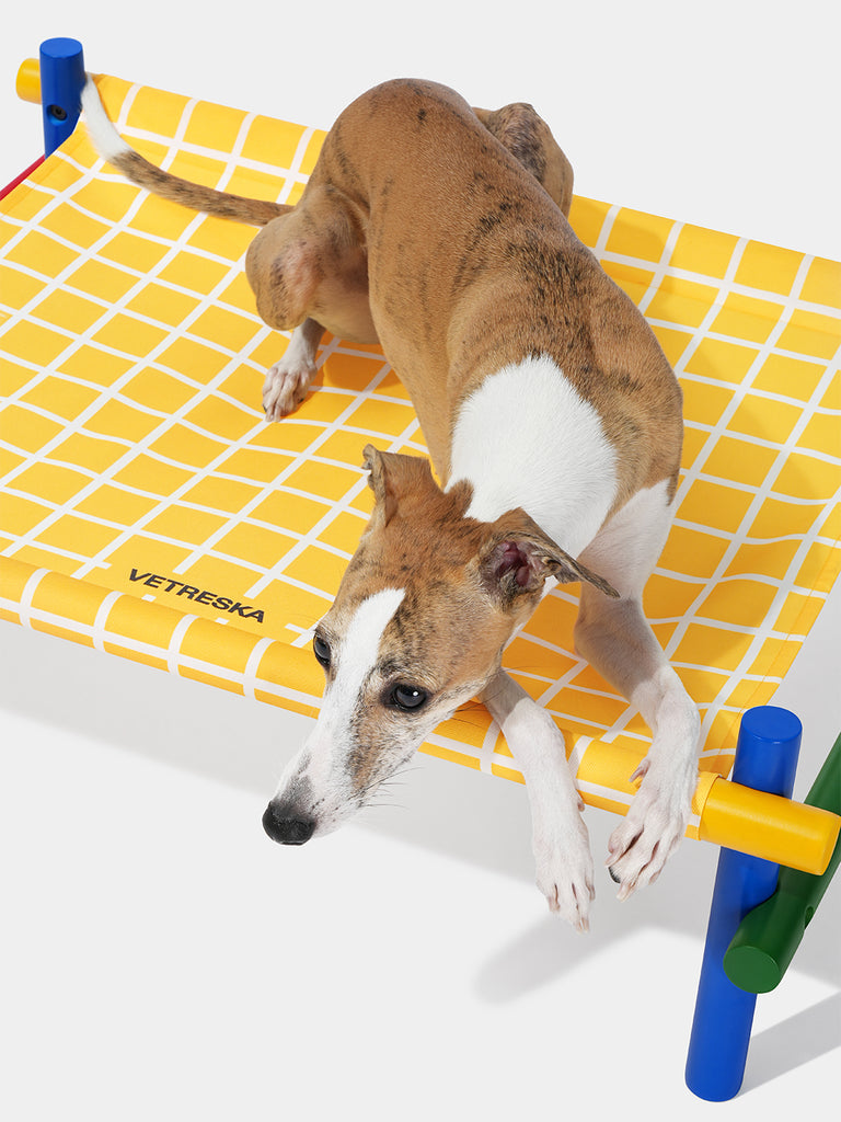 Chroma Elevated Pet Bed (Yellow)