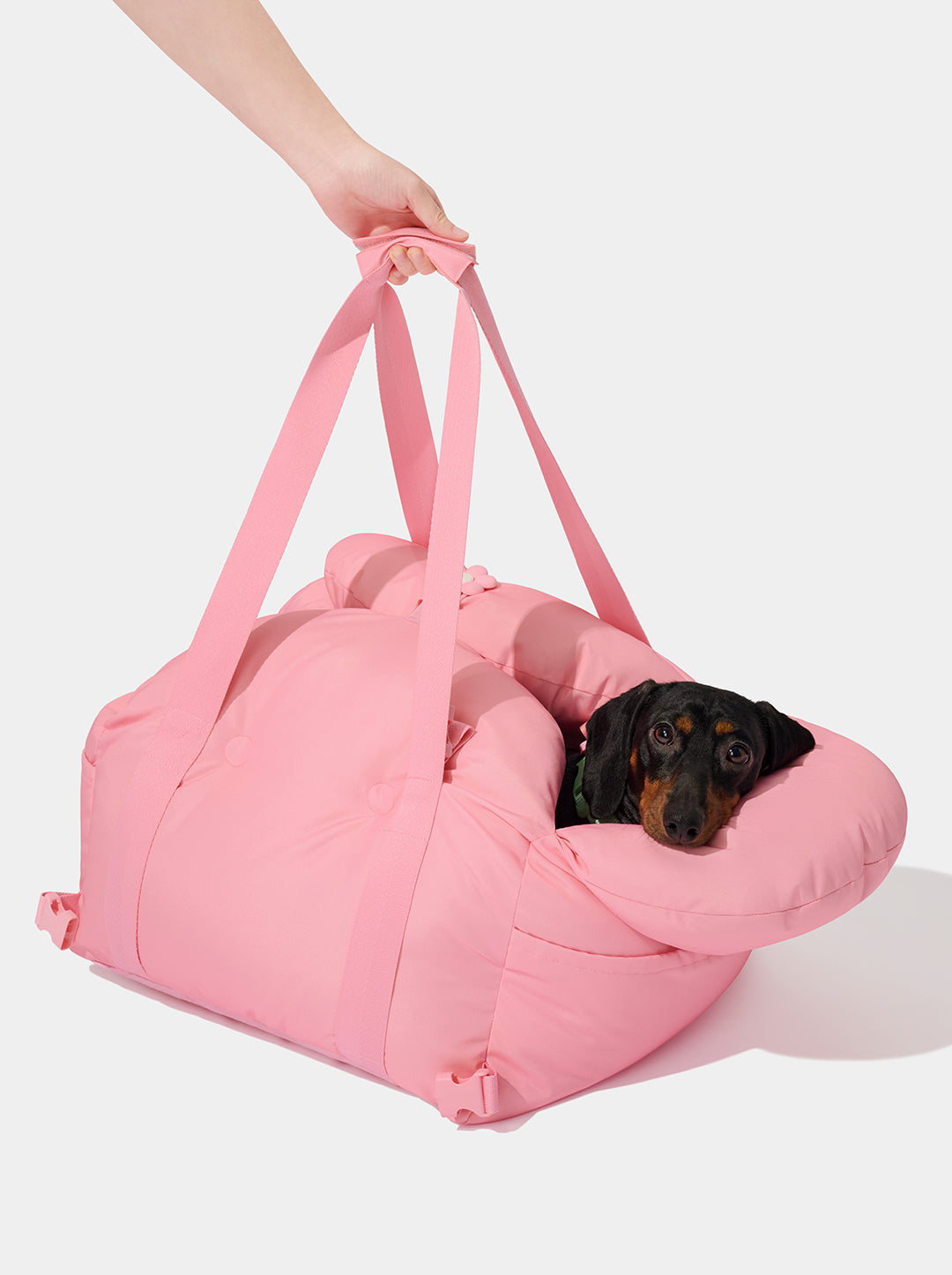 Flora Car Seat Pet Carrier