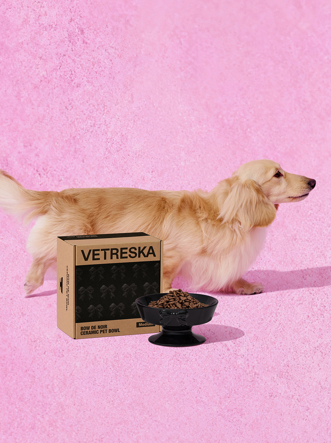 Bow de Noir Ceramic Pet Bowl