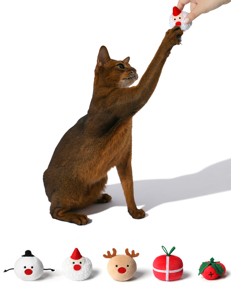 Festive Feline Retreat: Santa Paws Cushion & Festive Fluff-Nip Play Set