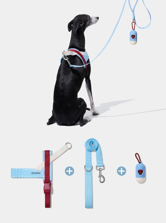 Mist & Merlot Pet Walk Kit