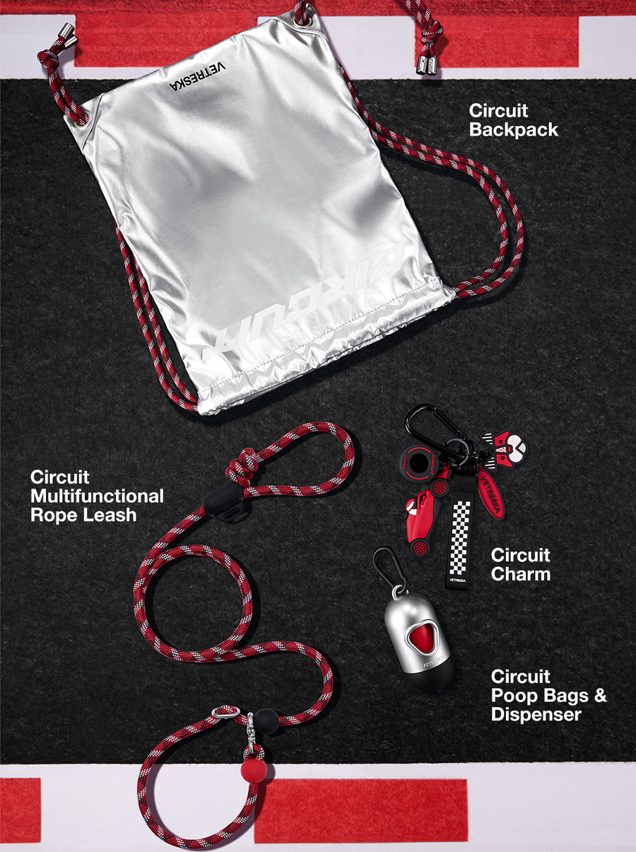 Circuit Capsule