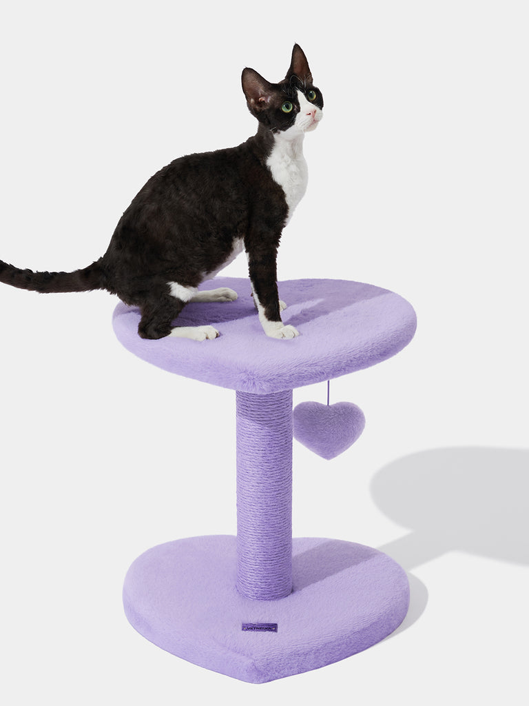 Heartpurrple Cat Climber - 2 Platforms