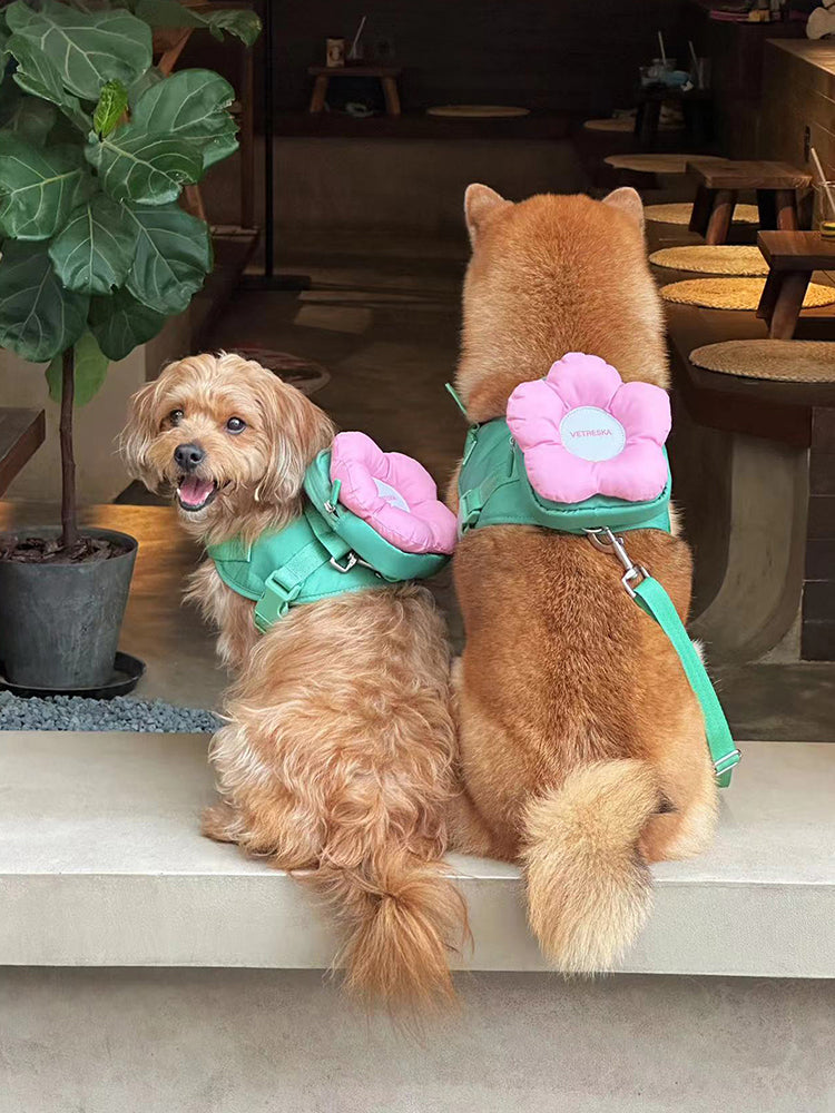 VETRESKA Pet Flora Pet Walk Kit (Backpack 3 in 1)