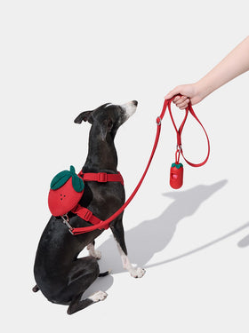 Strawberry Pet Walk Kit (Harness, Backpack, Leash 3 in 1 & Poop Bag Dispenser)
