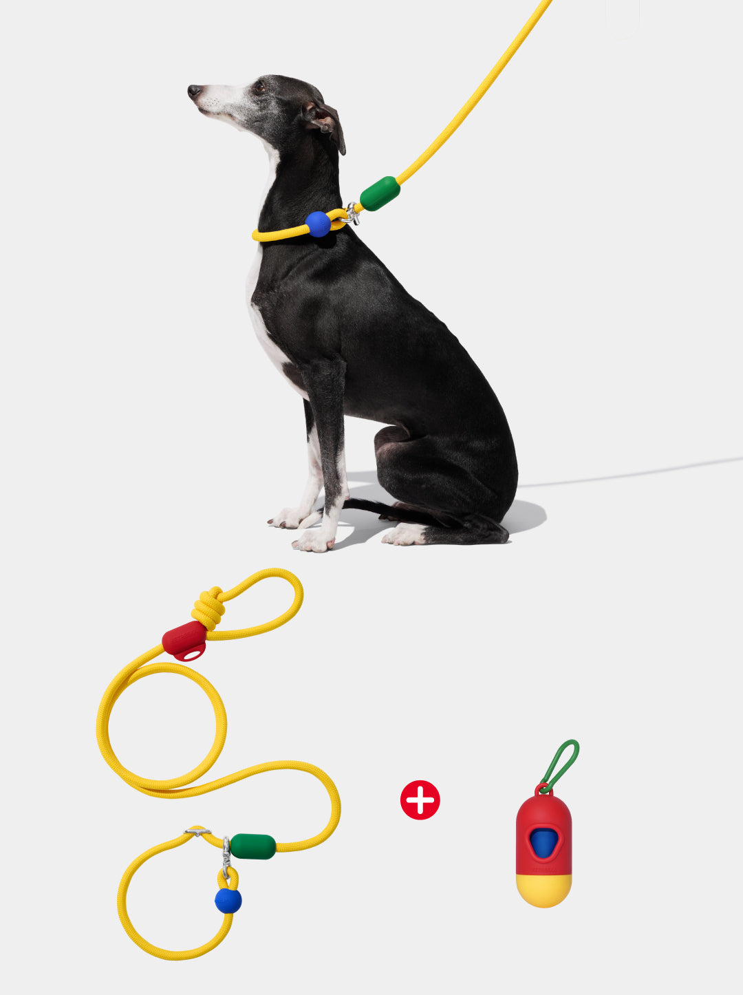 Connect Walk Kit - Chroma