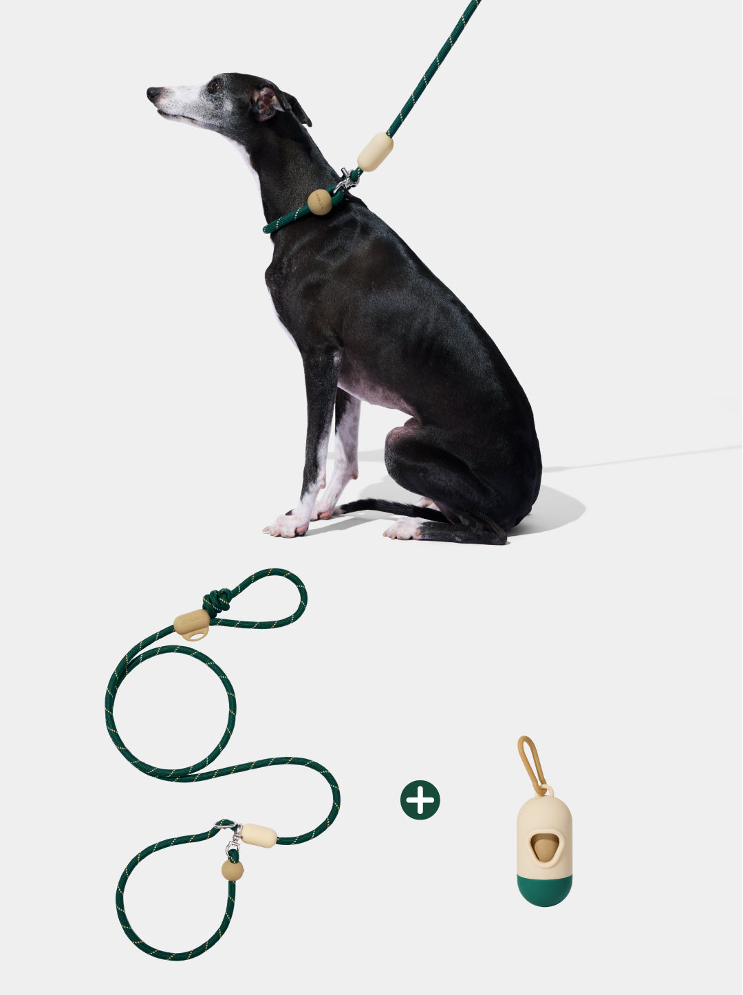 Connect Walk Kit - Santal Forest