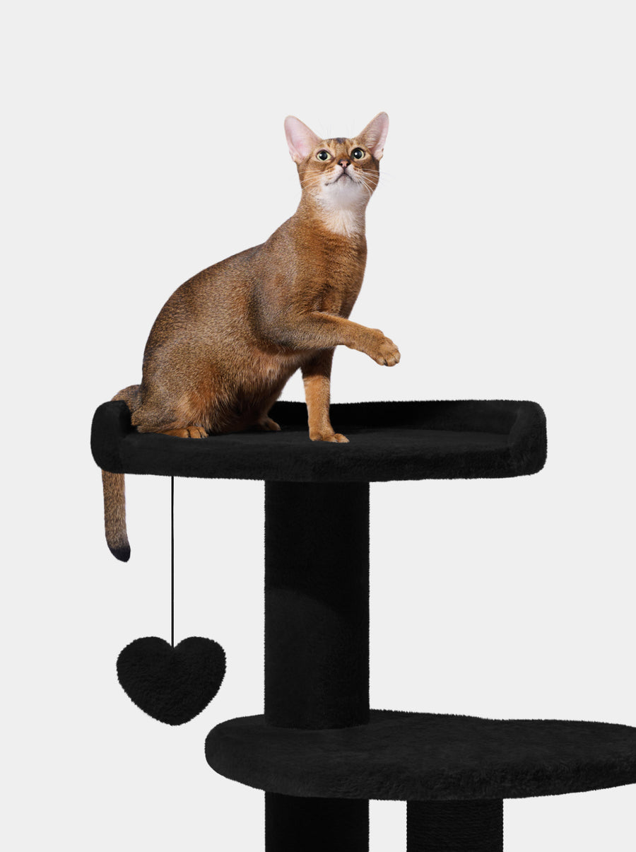 Heartpurrouge & Heartpurrnoir Cat Climber Combo