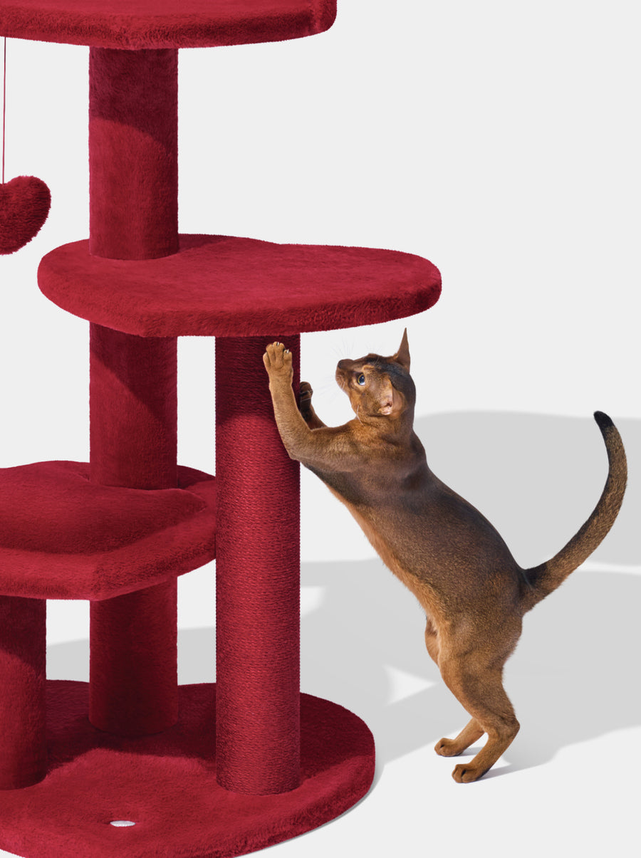 Heartpurrouge & Heartpurrnoir Cat Climber Combo