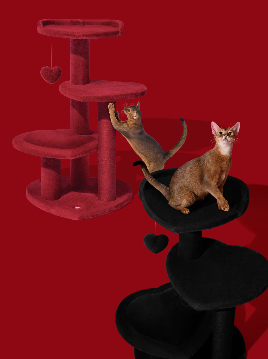 Heartpurrouge & Heartpurrnoir Cat Climber Combo