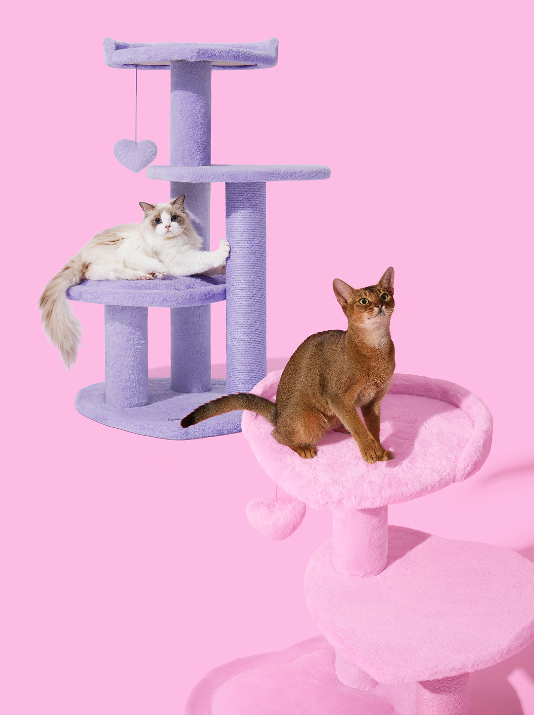 Heartpurrink & Heartpurrple Cat Climber Combo